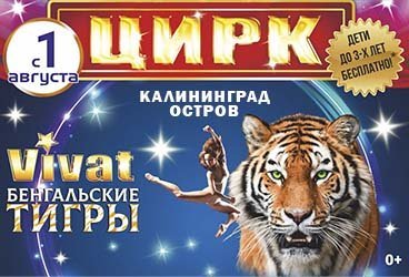 Цирк VIVAT Калининград — Шоу «Бенгальские тигры» 