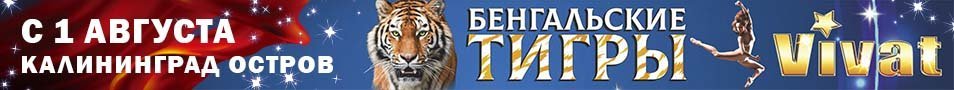 Цирк VIVAT Калининград — Шоу «Бенгальские тигры» 