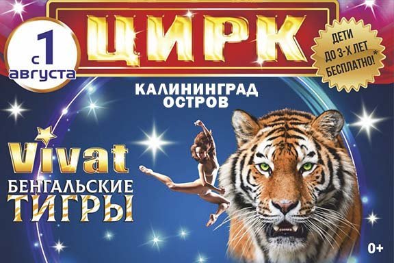 Цирк VIVAT Калининград — Шоу «Бенгальские тигры»